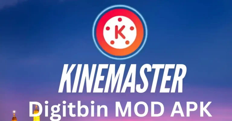 Kinemaster Digitbin