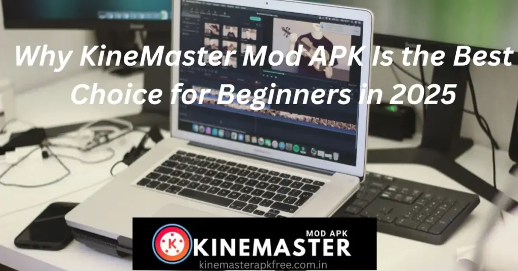 KineMaster Mod APK for Beginners