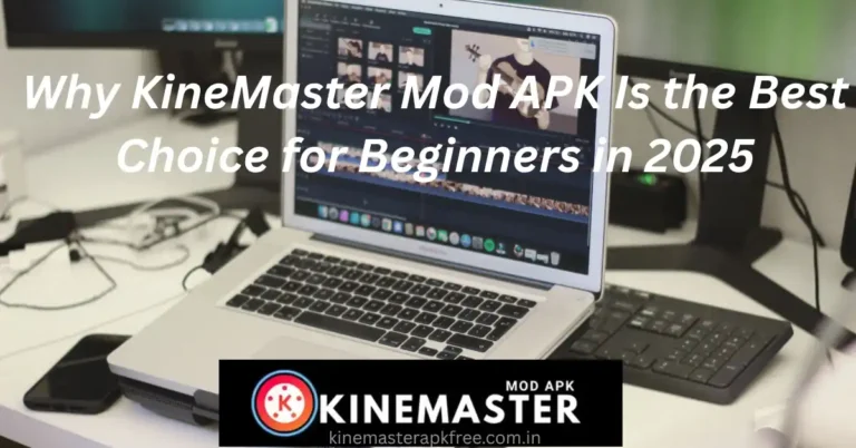 KineMaster Mod APK for Beginners